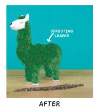 Lade das Bild in den Galerie-Viewer, Green Lama